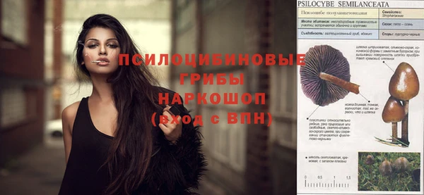 мет Аркадак