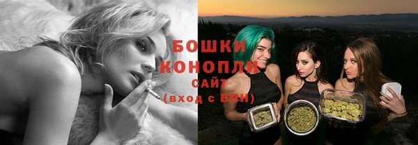гидра Арсеньев