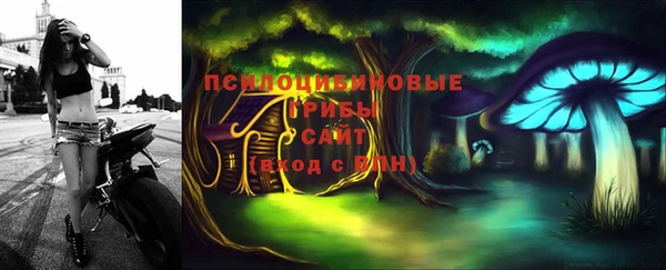 гидра Арсеньев