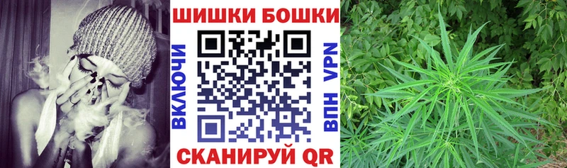 Марихуана план  купить наркотики сайты  Бокситогорск 